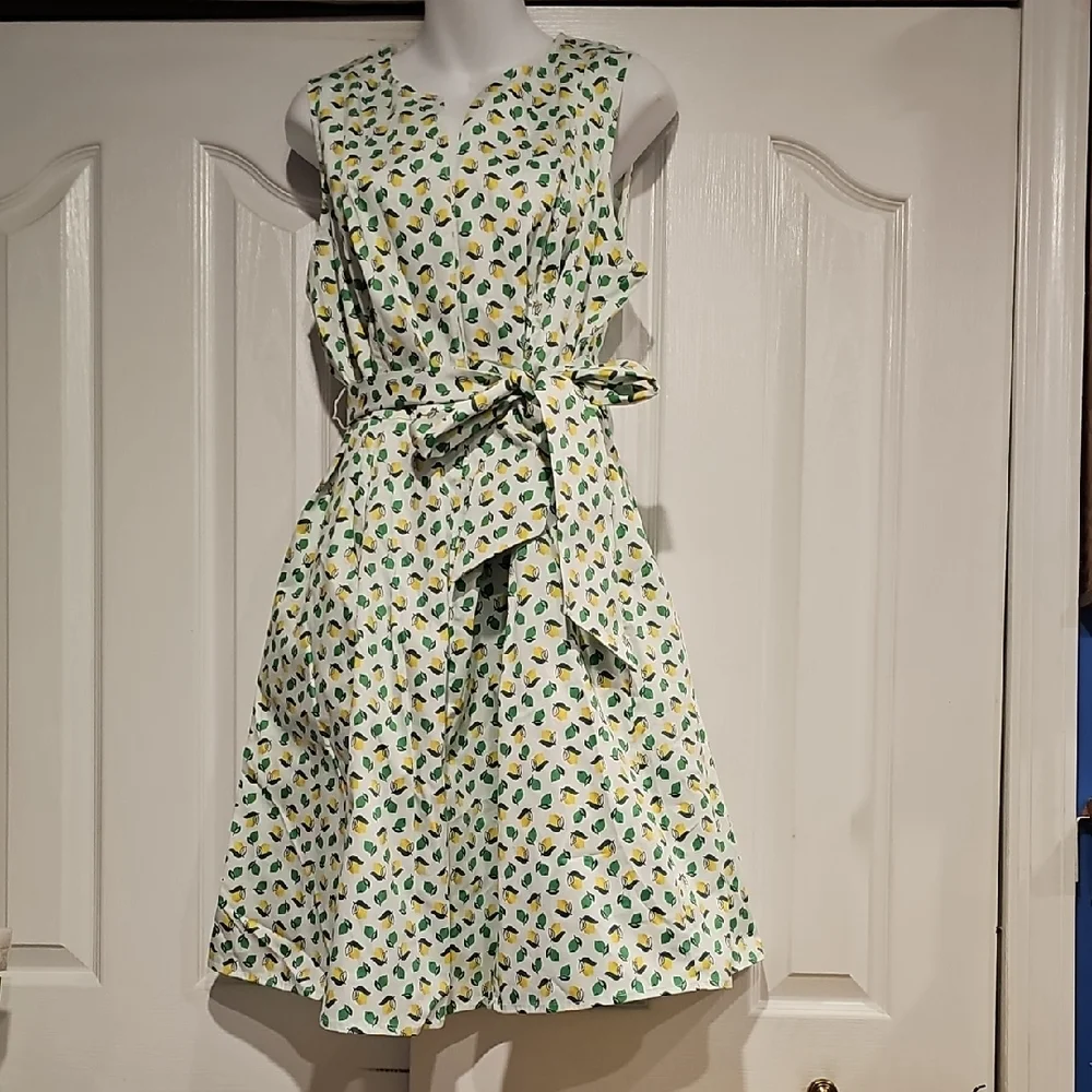 Boden Mischa Belted Lemon & Lime Dress Sz 14R NWT - Picture 6 of 13